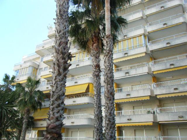 Apartamentos Marblau Varios 1, 2 Y 3 Dormitorios - Julio Y Agosto Solo Familias Playa de Gandia 外观 照片